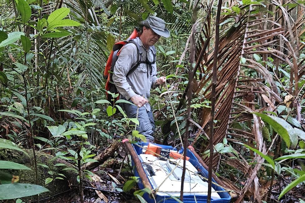 Beneath the Bog: FAU Gets $1.3M to Track Carbon, Gas Flux in Peatlands